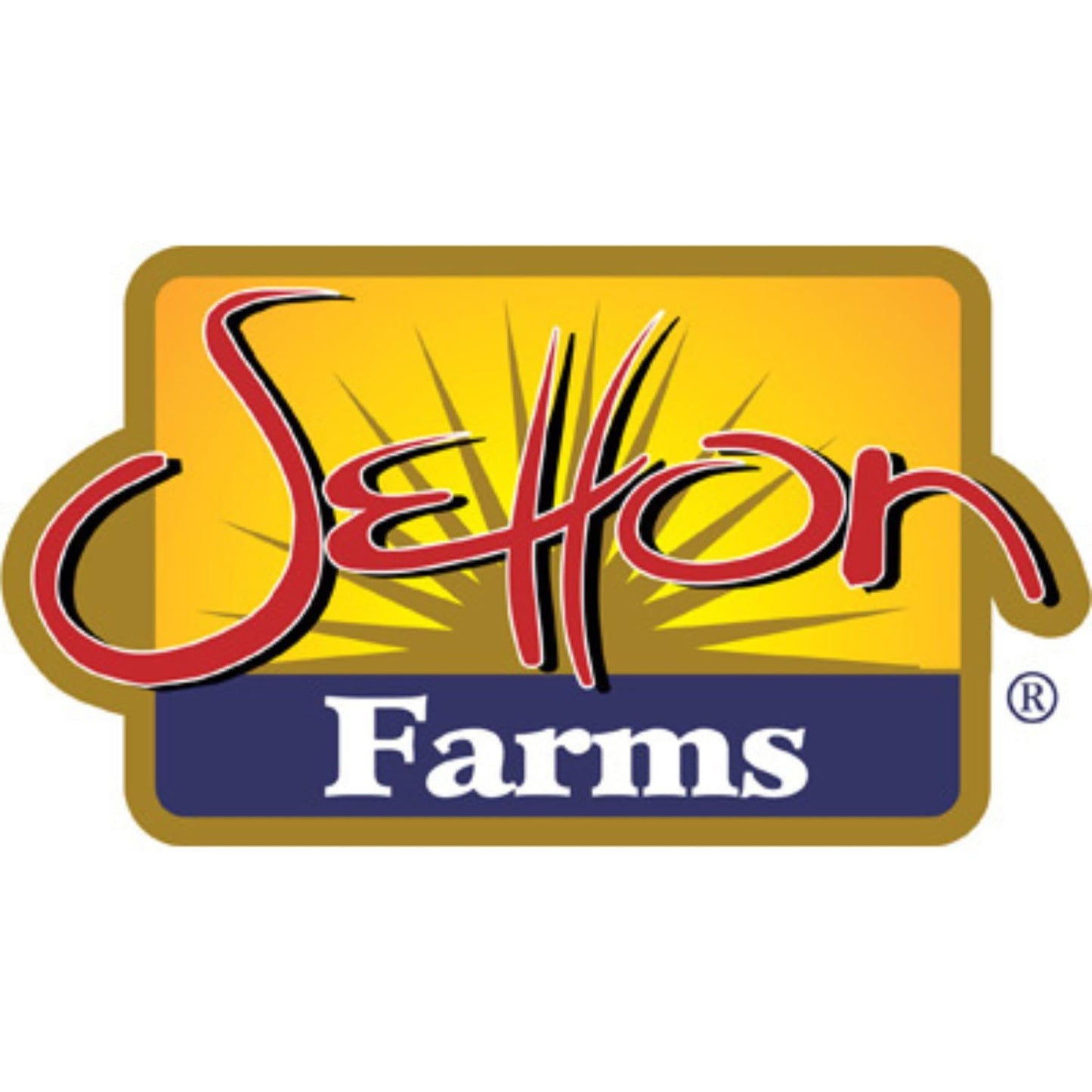 Setton Farm Plantain Chips with Sea Salt 7 Oz. Bag - Collins Global Snack Store