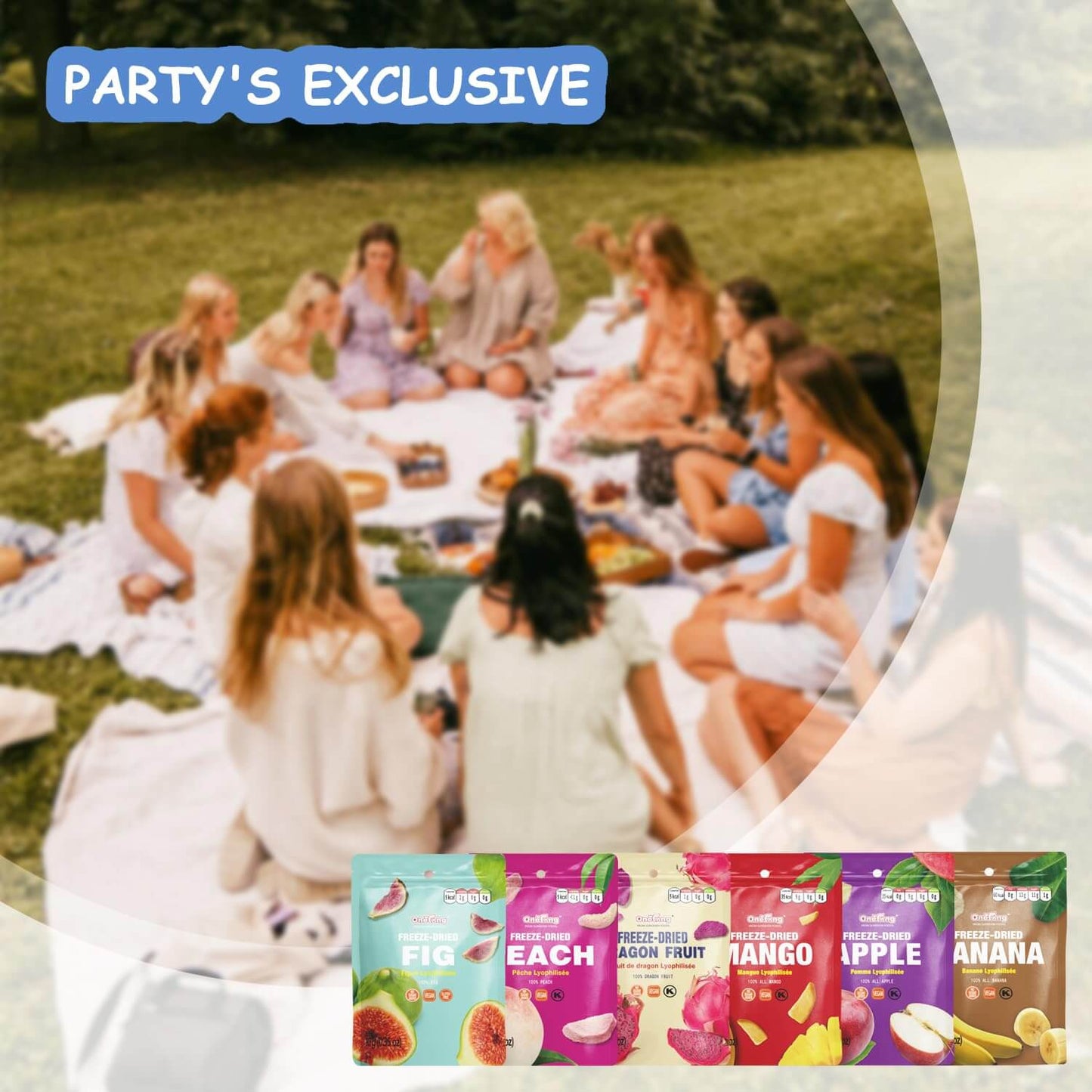 ONETANG Freeze-Dried Mixed Fruit, 12 Pack Single-Serve Pack, Non GMO, Kosher, No Add Sugar, Gluten free, Vegan, Holiday Gifts, Healthy Snack 0.35 Ounce - Collins Global Snack Store